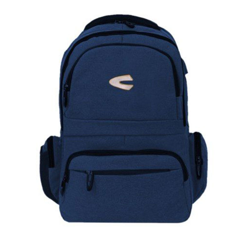 کوله پشتی لپ تاپ 15.6 اینچی کمل اکتیو مدل Camelactive 680 طوسی - Image 2