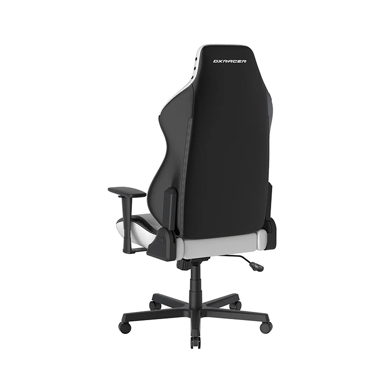 صندلی گیمینگ دی ایکس ریسر مدل DXRacer Drifting Series 2025 L Winter White Black - Image 9