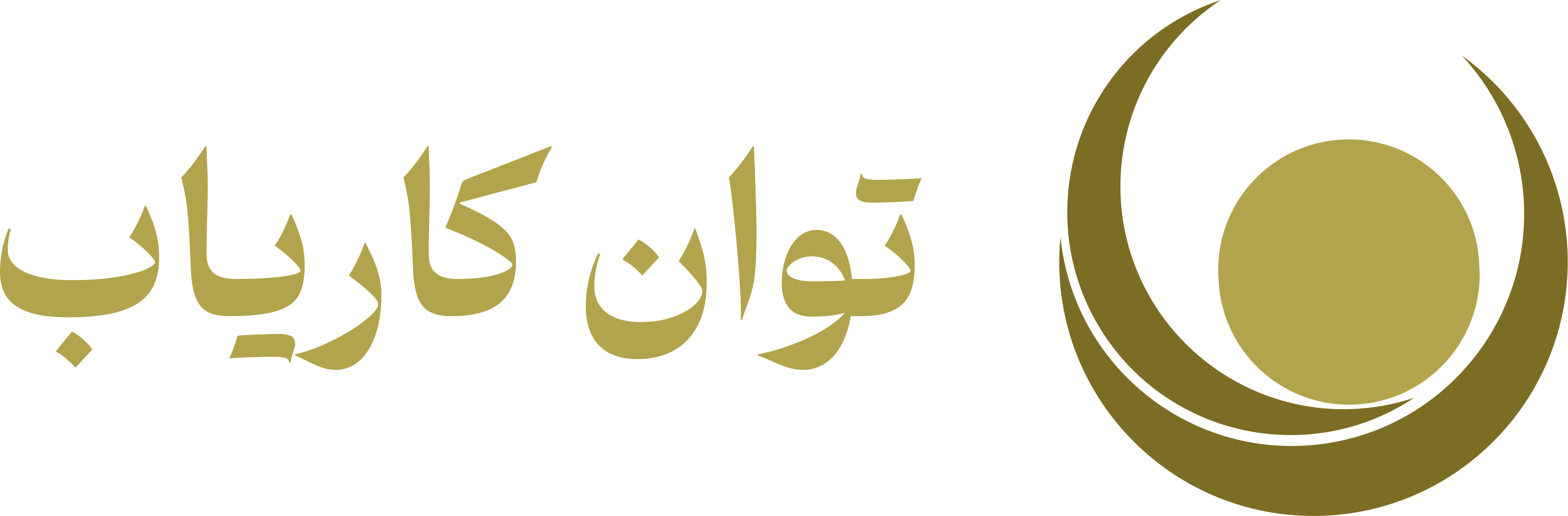 توان کاریاب